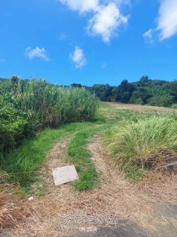 1460m² Development Land for Sale in Uruma, Okinawa - Thumbnail 4