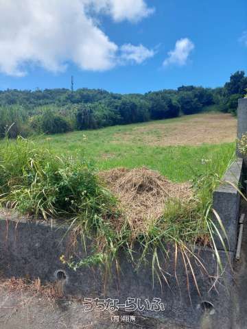 1460m² Development Land for Sale in Uruma, Okinawa - Thumbnail 3