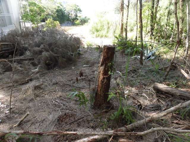 340.56 sqm Land for Sale in Onna Village, Okinawa - Thumbnail 3