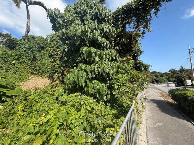 517 m² Land for Sale in Onna Village, Okinawa Resort Area - Thumbnail 3