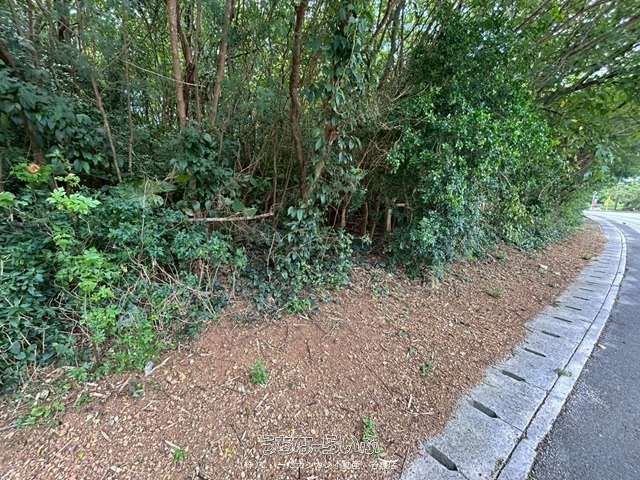 329 sqm Land for Sale in Bise, Motobu Town, Okinawa - Thumbnail 4