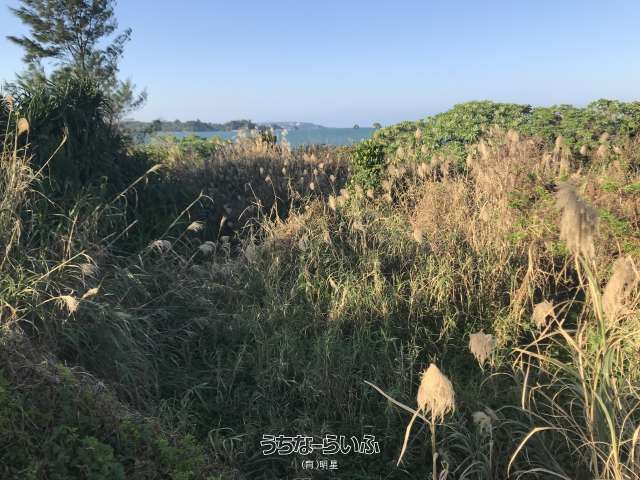 575m² Coastal Land for Sale in Nago, Okinawa - Development Plot - Thumbnail 2