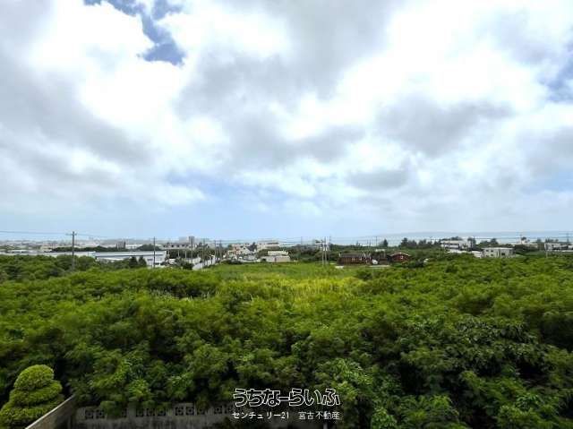 6987㎡ Farmland for Sale in Miyakojima, Okinawa - Thumbnail 3