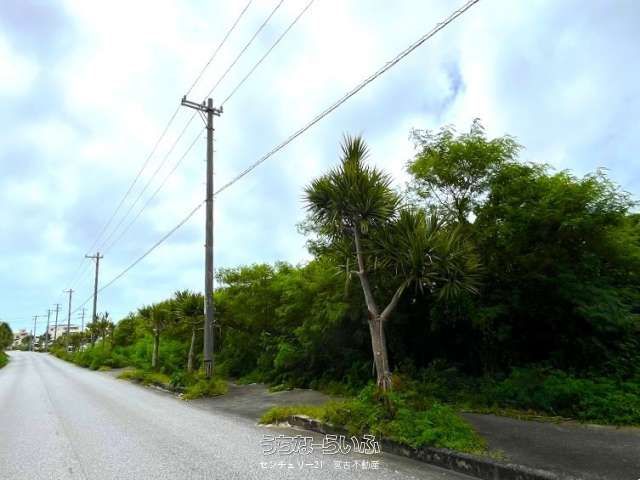 6987㎡ Farmland for Sale in Miyakojima, Okinawa - Thumbnail 4