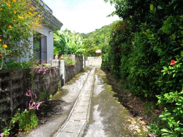 444.78 sqm Land with Container House in Kunigami Village, Okinawa - Thumbnail 3