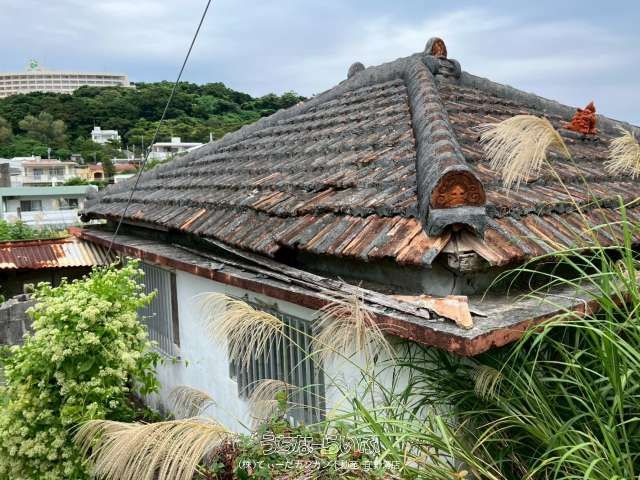 856.69 m² Land for Sale in Kiseba, Nakagusuku Village, Okinawa - Thumbnail 2