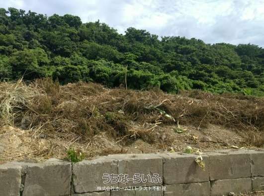1,175m² Land for Sale in Yaese Town, Okinawa - Near Schools & Beach - Thumbnail 4