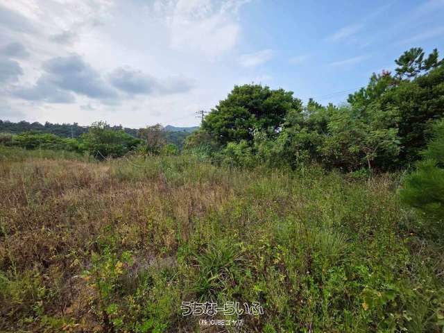100 sqm Land for Sale in Nakijin Village, Okinawa - Thumbnail 4