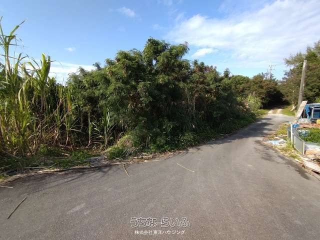 1,365㎡ Agricultural Land for Sale in Yaese Town, Okinawa - Thumbnail 2