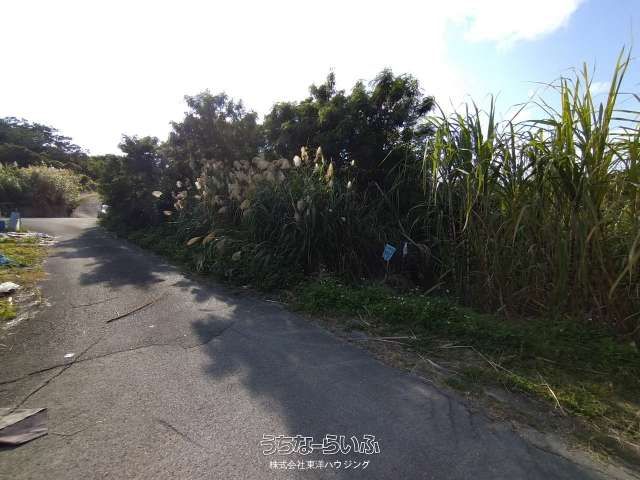 1,365㎡ Agricultural Land for Sale in Yaese Town, Okinawa - Thumbnail 4