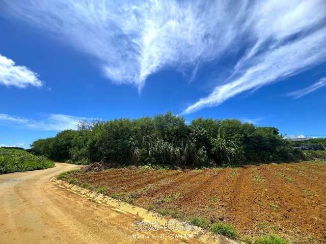 4772m² Land for Hotel Development in Miyakojima, Okinawa - Thumbnail 2