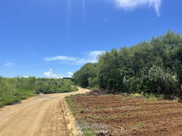 4772m² Land for Hotel Development in Miyakojima, Okinawa - Thumbnail 4