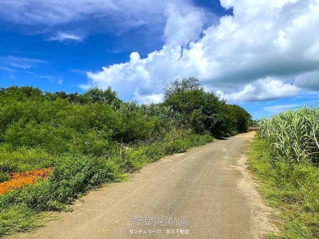 4772m² Land for Hotel Development in Miyakojima, Okinawa - Thumbnail 3