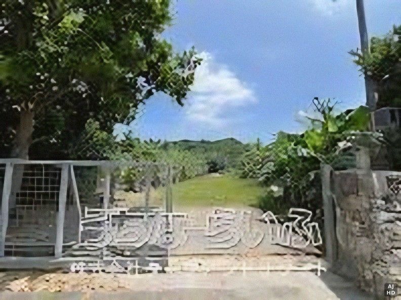 300 Tsubo Land for Sale on Kannon-dō Street, Ishigaki Island - Thumbnail 3