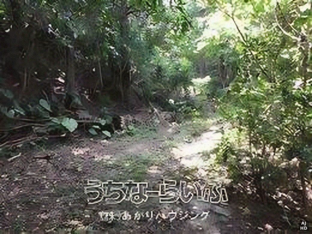 2900m² Land for Sale in Nakijin Village, Okinawa - Image 1