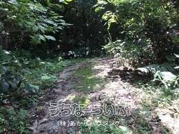 2900m² Land for Sale in Nakijin Village, Okinawa - Thumbnail 2