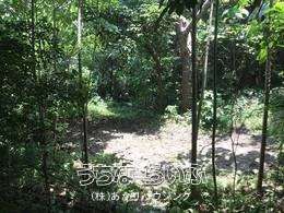 2900m² Land for Sale in Nakijin Village, Okinawa - Thumbnail 3