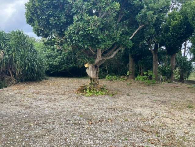 176m² Land for Sale with Private Beach Access in Nakijin, Okinawa - Thumbnail 3