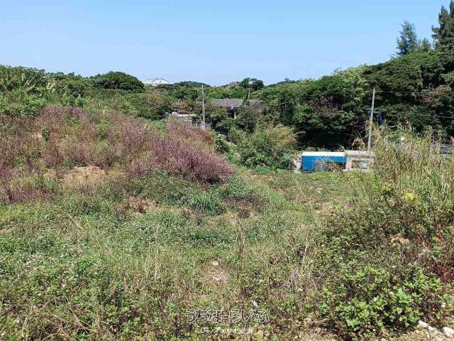 Land for Sale in Nakijin Village, Okinawa - 3575 sqm Plot - Thumbnail 2