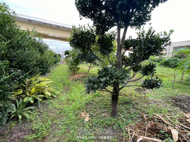 565 sqm Land Plot for Sale in Uruma City, Okinawa - Thumbnail 3