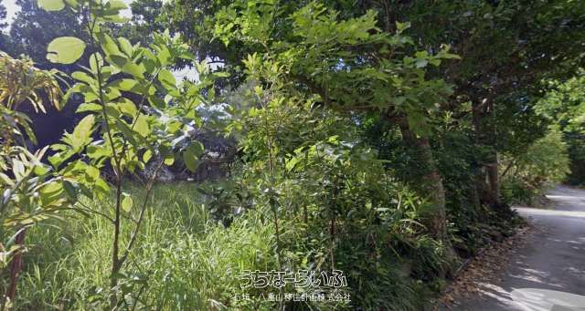 Coastal Land for Sale in Iriomote Island, Okinawa - Thumbnail 3