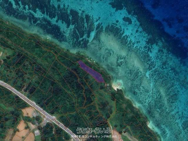 1155 sqm Land for Sale in Sesoko, Motobu Town, Okinawa - Thumbnail 2