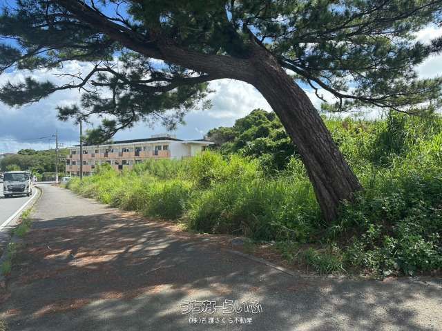1250m² Land for Sale in Nakijin Village, Okinawa - Thumbnail 4