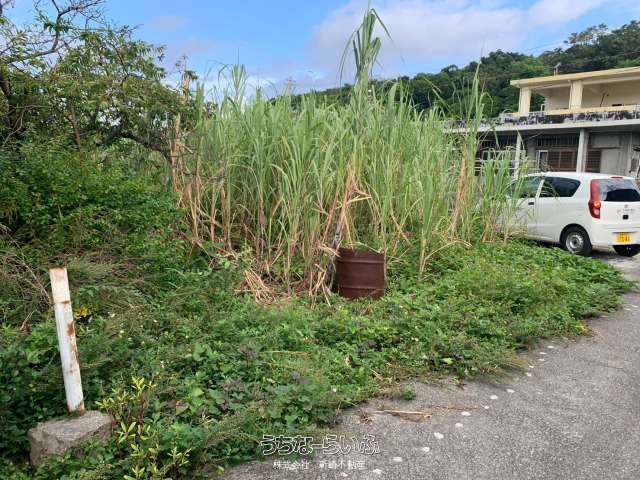 59 Tsubo Land for Sale in Maezato, Itoman City, Okinawa - Thumbnail 3
