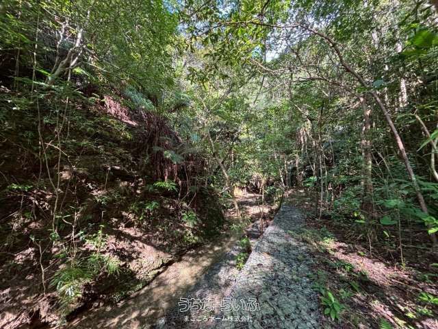 6438 sqm Land with Waterfall for Sale in Nago, Okinawa - Thumbnail 3