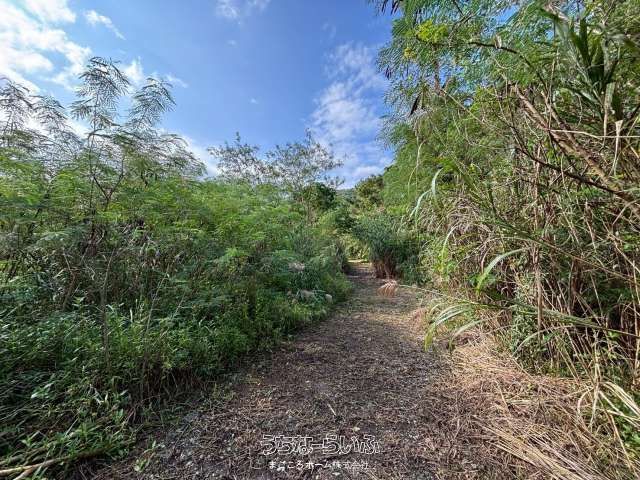 6438 sqm Land with Waterfall for Sale in Nago, Okinawa - Thumbnail 2
