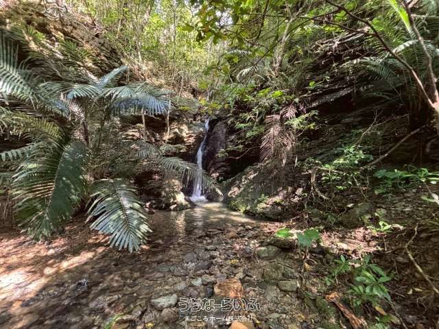 6438 sqm Land with Waterfall for Sale in Nago, Okinawa - Thumbnail 4