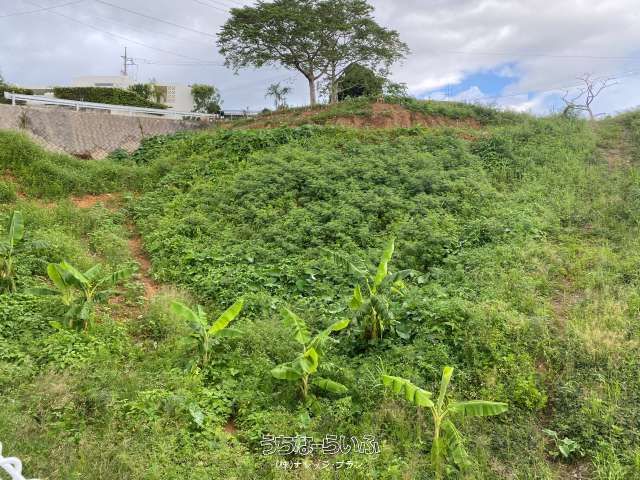 2420 sqm Land for Sale in Nago City, Okinawa - Price Adjusted - Thumbnail 4