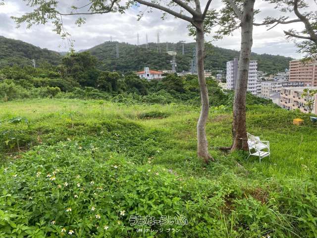 2420 sqm Land for Sale in Nago City, Okinawa - Price Adjusted - Thumbnail 3