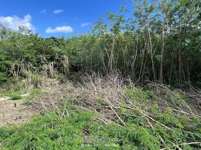 657 sqm Land Plot for Sale in Irabu, Miyakojima, Okinawa - Thumbnail 3