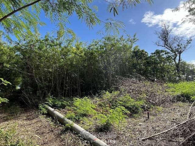 657 sqm Land Plot for Sale in Irabu, Miyakojima, Okinawa - Thumbnail 4