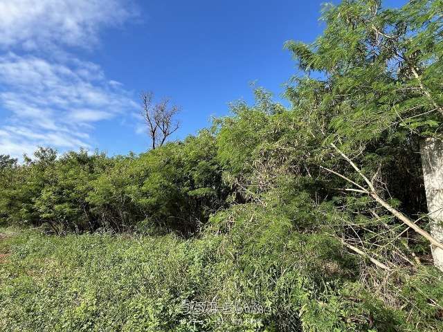 657 sqm Land Plot for Sale in Irabu, Miyakojima, Okinawa - Thumbnail 2
