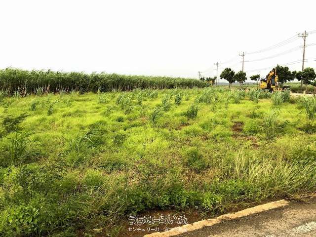 Agricultural Land for Sale in Miyakojima City, Okinawa - Thumbnail 2
