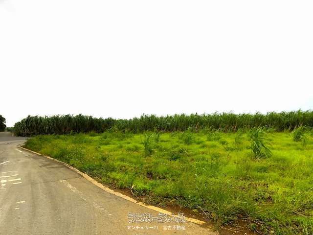 Agricultural Land for Sale in Miyakojima City, Okinawa - Thumbnail 4
