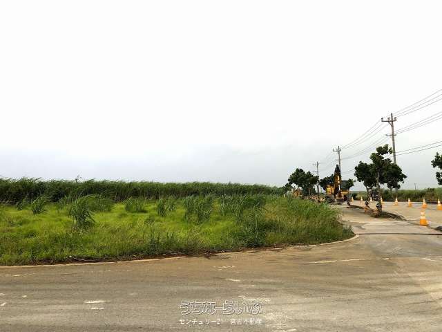 Agricultural Land for Sale in Miyakojima City, Okinawa - Thumbnail 3