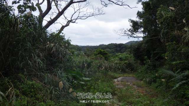 44,606 sqm Land for Sale in Ijumi, Motobu, Okinawa - Thumbnail 2