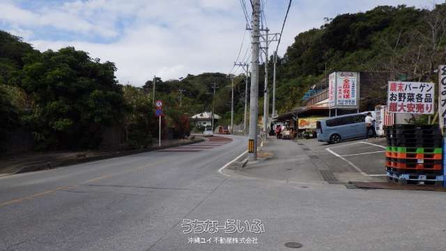 44,606 sqm Land for Sale in Ijumi, Motobu, Okinawa - Thumbnail 3
