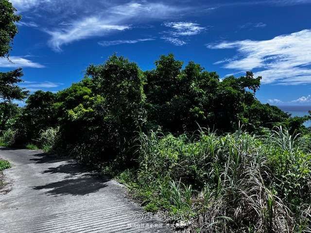 603 sqm Land Plot for Sale in Nanjo City, Okinawa - Thumbnail 2