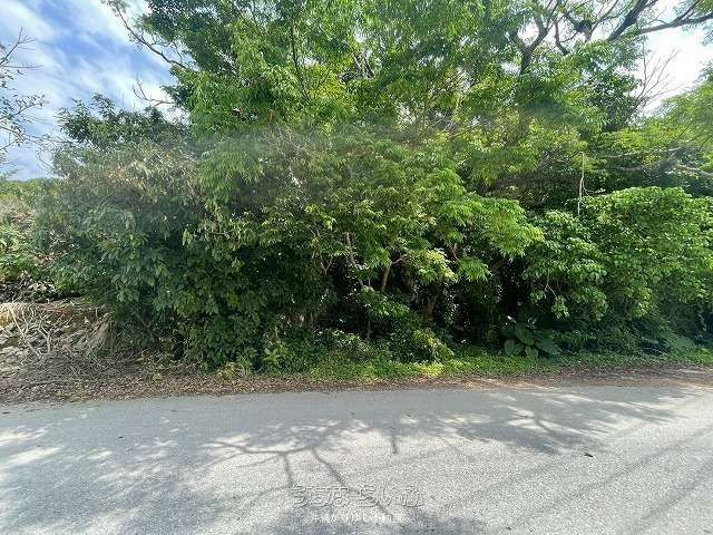 1871 sqm Land for Sale in Motobu, Okinawa - Minpaku Possible - Thumbnail 3