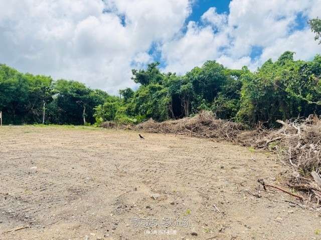 432 sqm Land for Sale in Kabira, Ishigaki - Scenic Views - Thumbnail 4