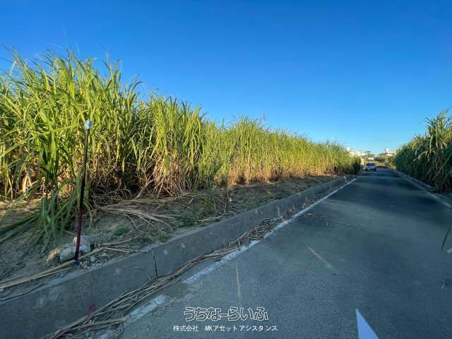 1592㎡ Farmland for Sale in Yaese Town, Okinawa - 9.8 Million Yen - Thumbnail 4