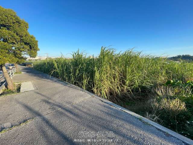 1592㎡ Farmland for Sale in Yaese Town, Okinawa - 9.8 Million Yen - Thumbnail 2