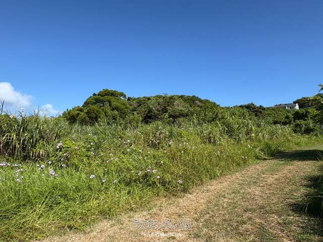 676m² Land for Sale in Yomitan Village with Zakimi Castle Views - Thumbnail 2