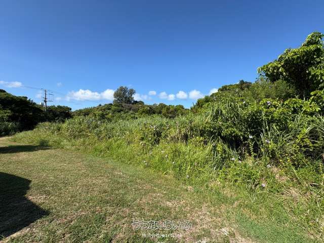 676m² Land for Sale in Yomitan Village with Zakimi Castle Views - Thumbnail 4