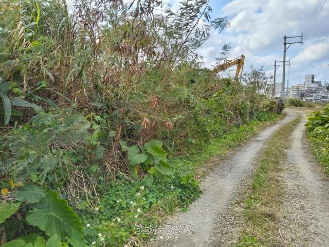 4,780 m² Land for Sale in Nishihara, Okinawa with Ocean Views - Thumbnail 3