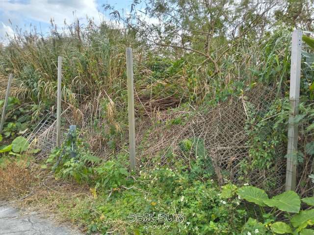 4,780 m² Land for Sale in Nishihara, Okinawa with Ocean Views - Thumbnail 4